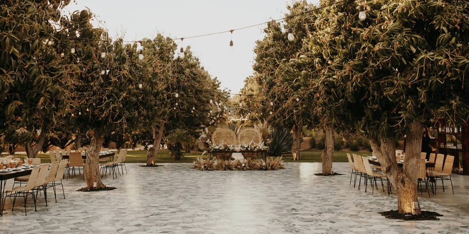 Photo by Jordan Voth
