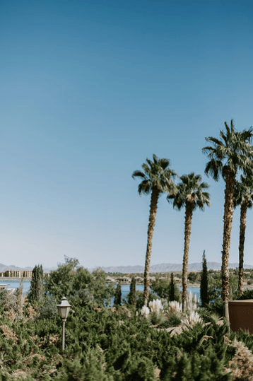 A Romantic Lake Las Vegas Wedding by the Water Captured by Courtney Pecorino 6