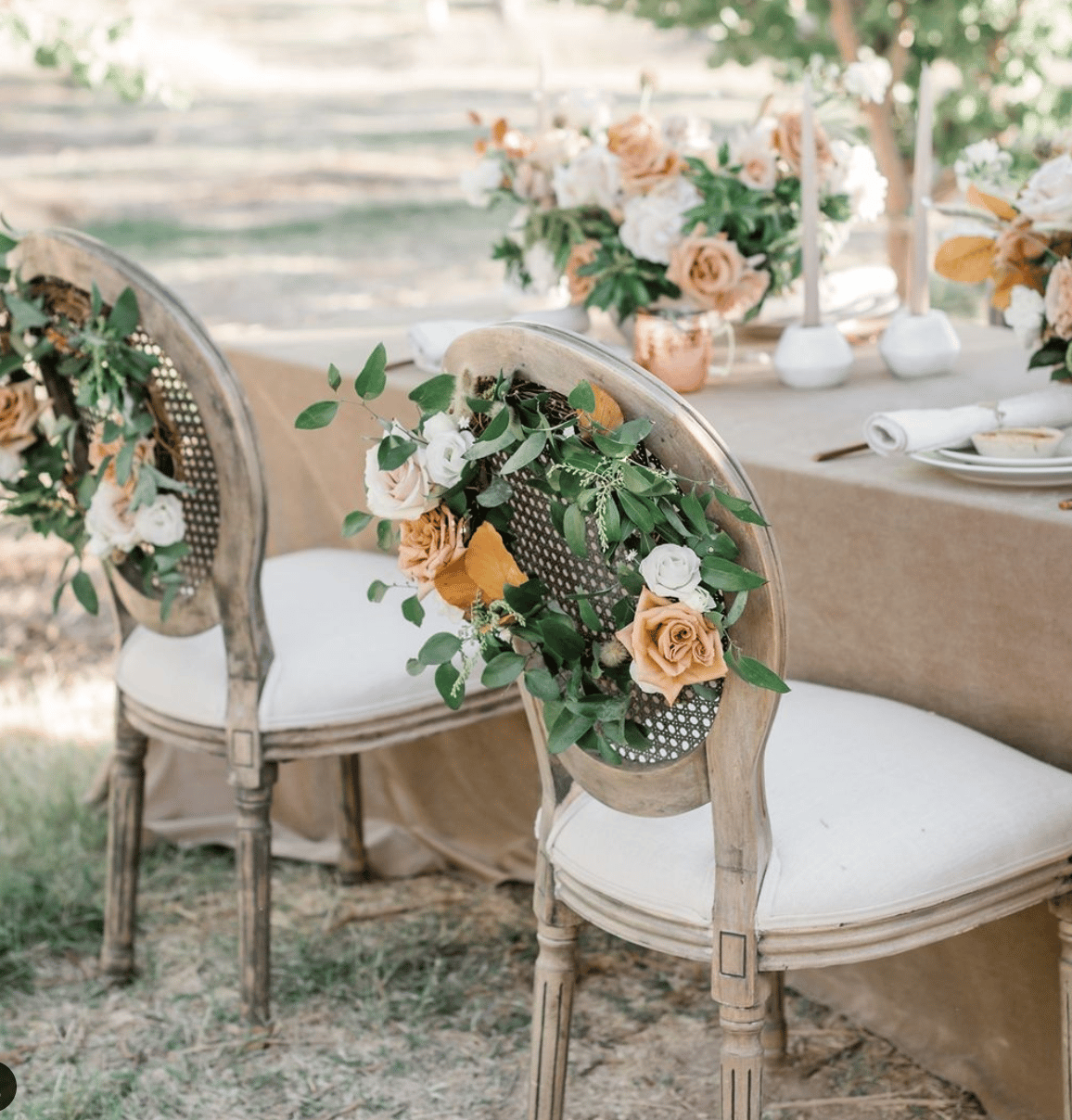 RSVP Party Rentals portfolio 3