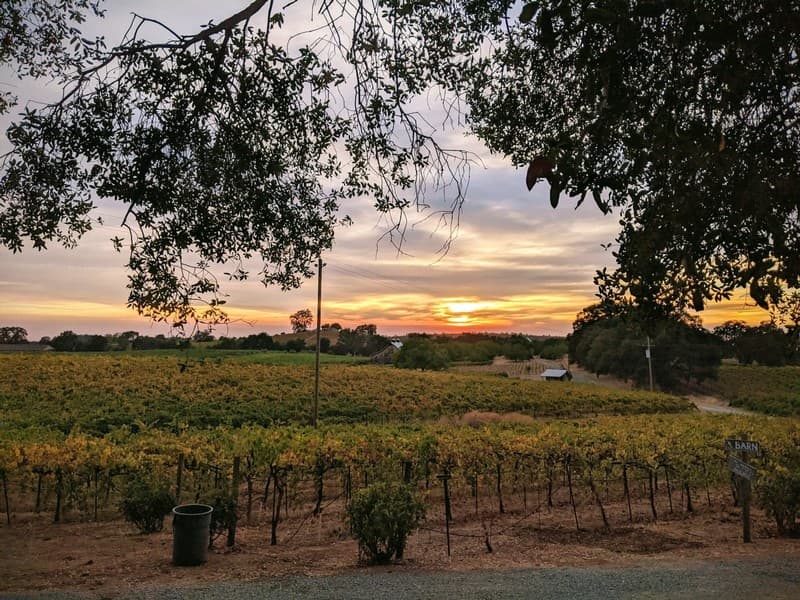 Amador Cellars portfolio 1