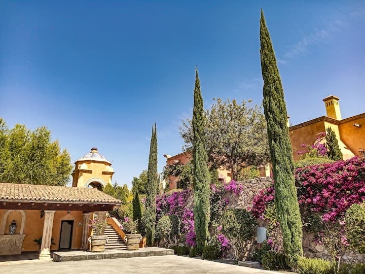 Hacienda San Jose Lavista portfolio 1