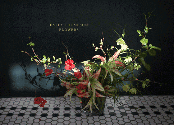 Emily Thompson Flowers portfolio 1