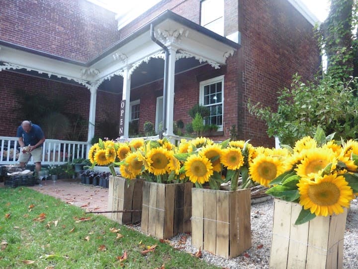 Sag Harbor Florist portfolio 5