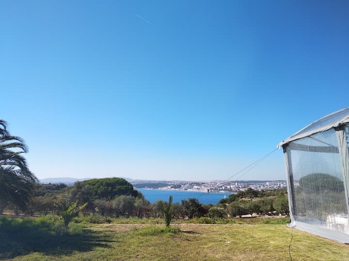 Quinta da Bella Vista portfolio 2