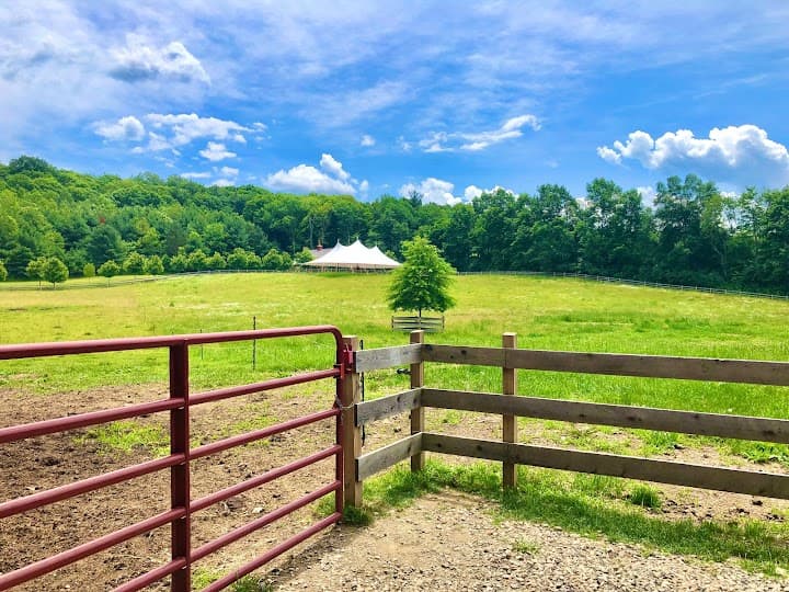 June Farms portfolio 4