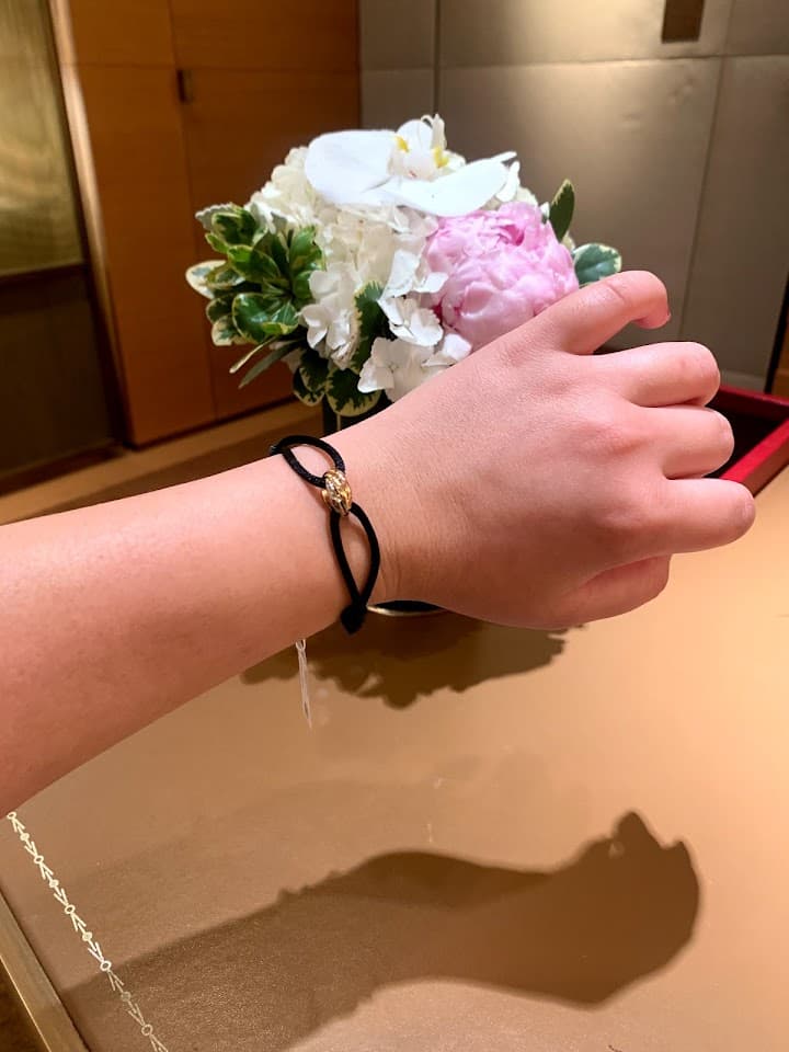 Cartier portfolio 5
