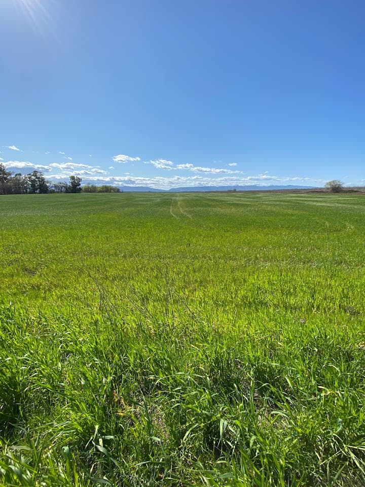 Bear Flag Farm portfolio 4