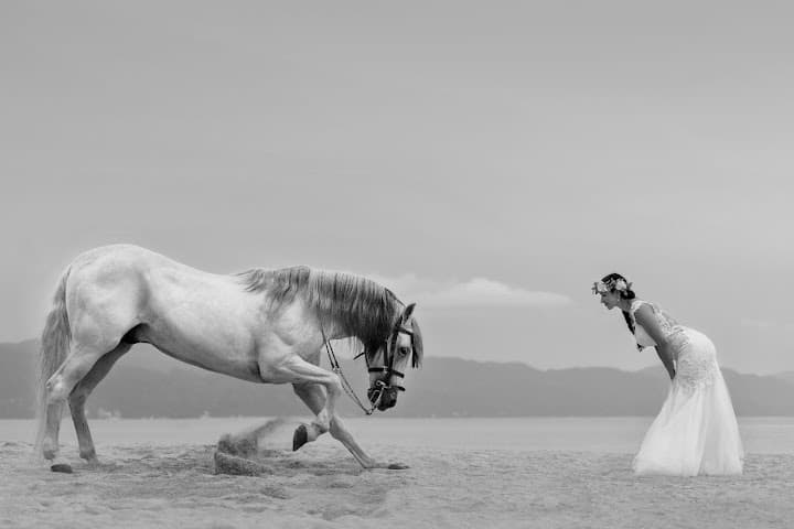 Ave Sol Photography