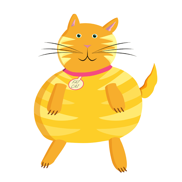 Fat Cat Productions