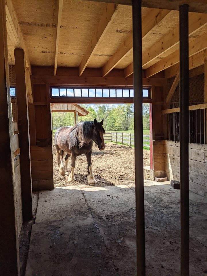 June Farms portfolio 3