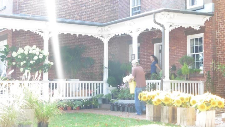 Sag Harbor Florist portfolio 3