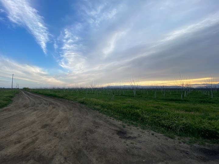 Bear Flag Farm portfolio 3