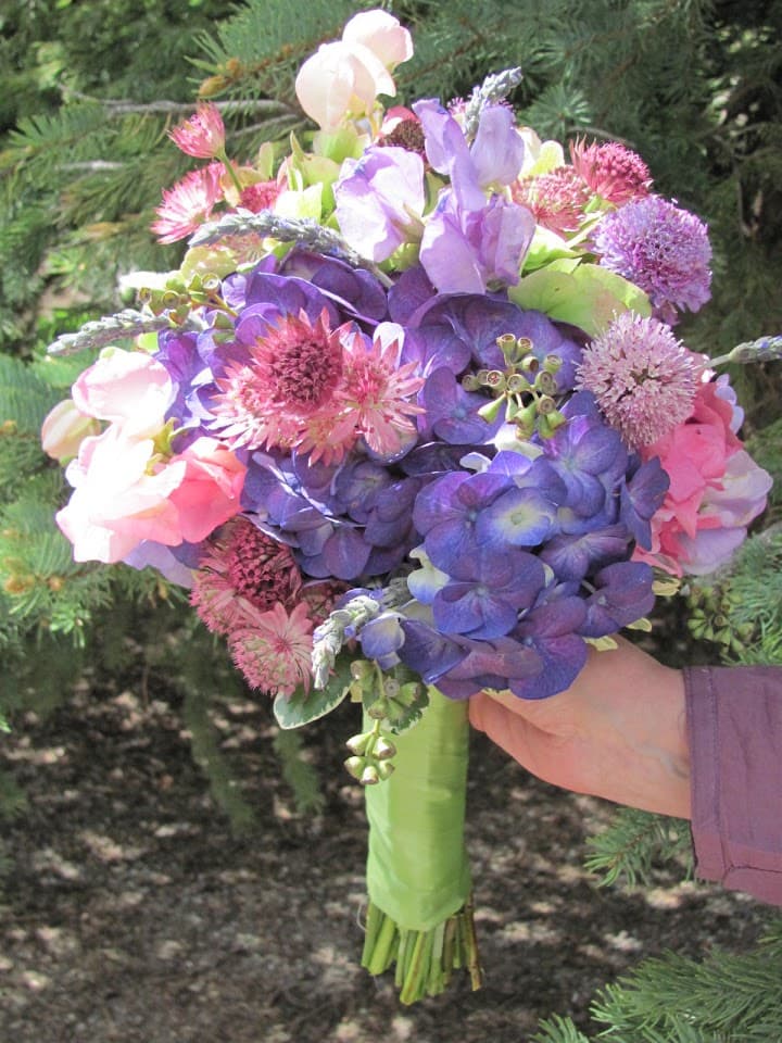 Sweet Pea Designs portfolio 1