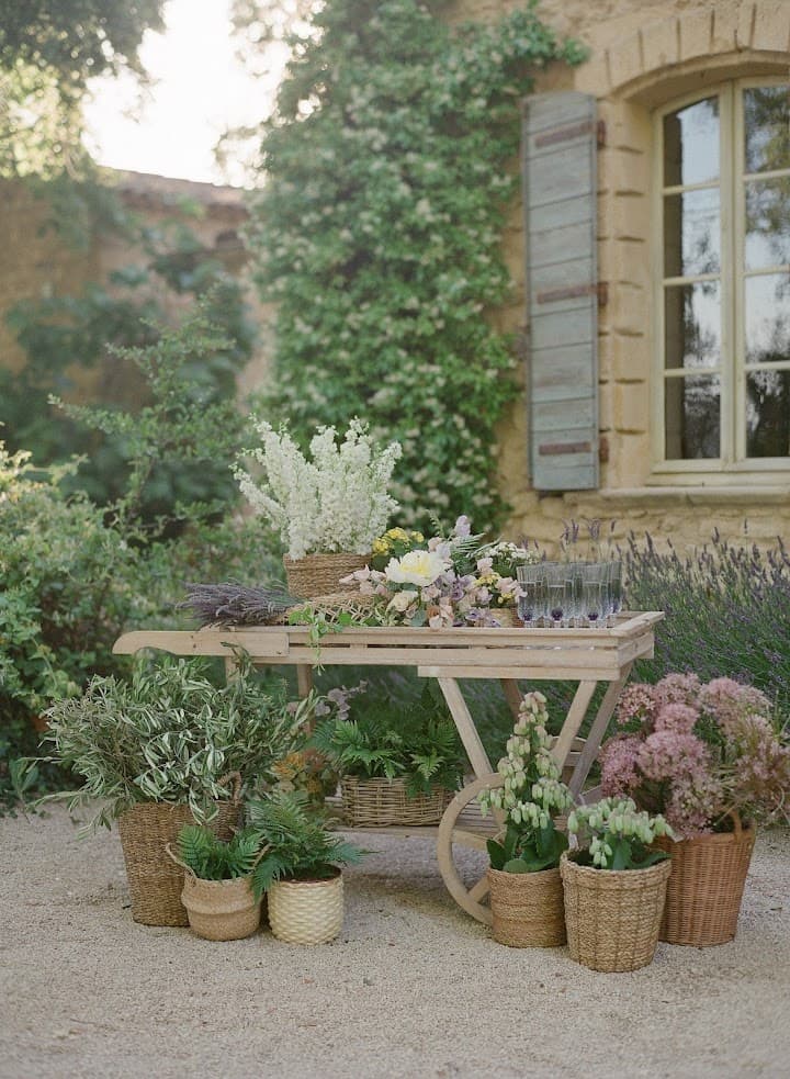 Floraison portfolio 2