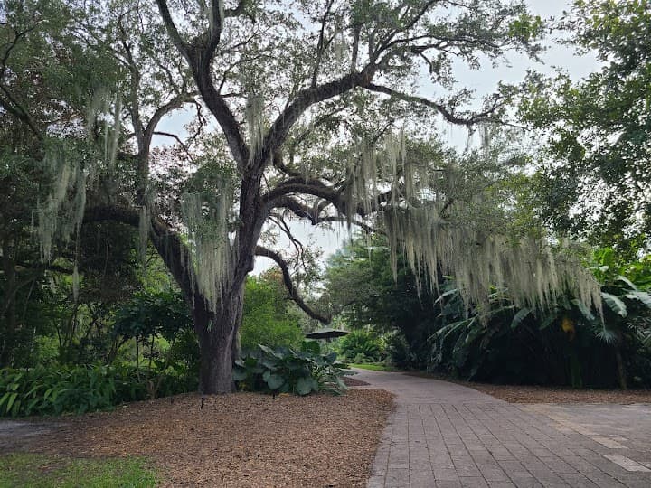 Fairchild Tropical Botanic Garden portfolio 4