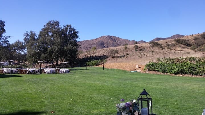 Triunfo Creek Vineyards portfolio 1