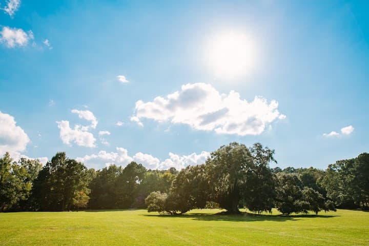 Runnymede portfolio 4