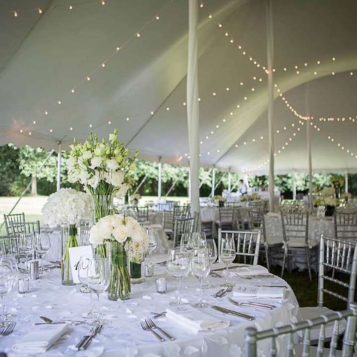 Elite Tent And Party Rental portfolio 2