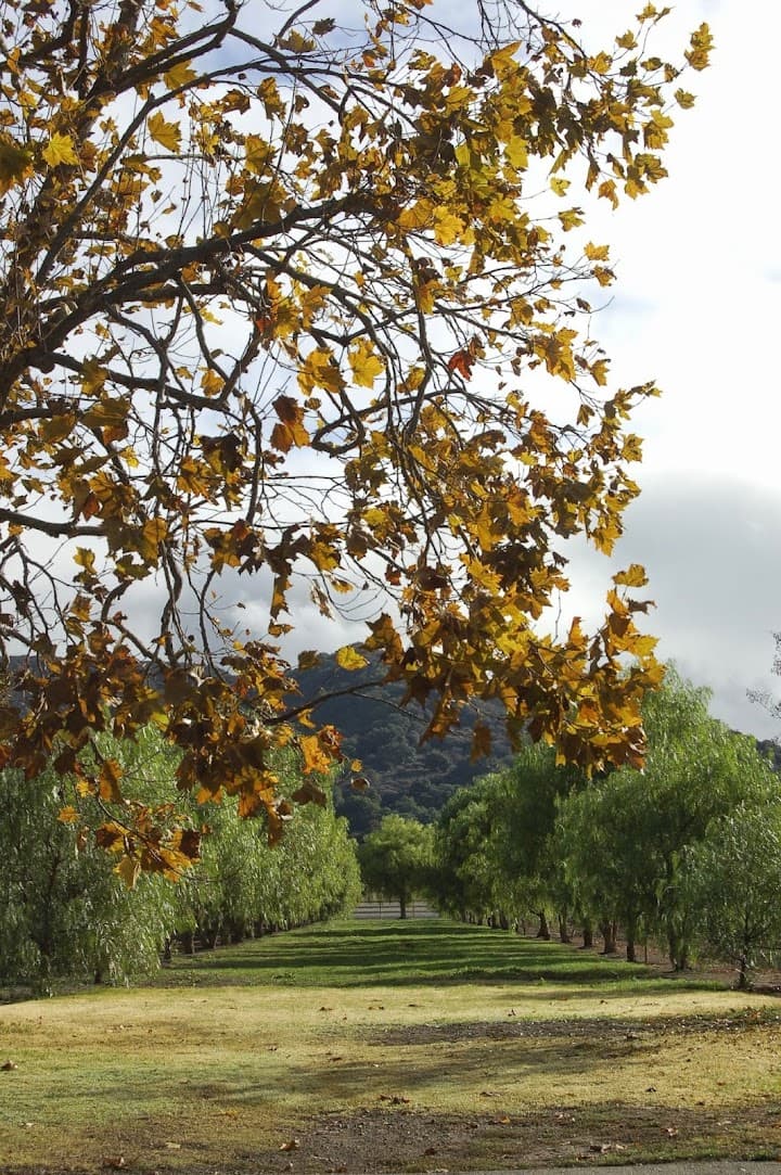 Mizel Estate portfolio 5
