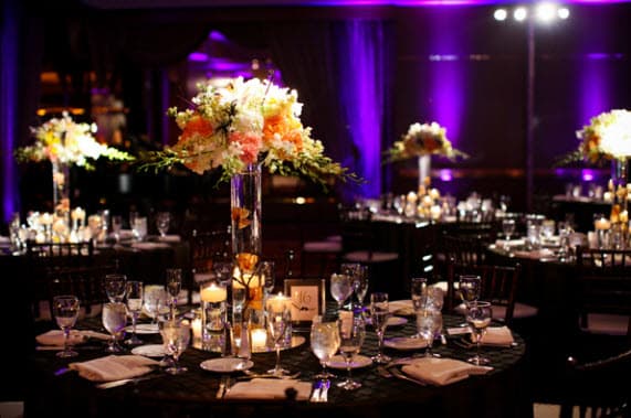 Exclusively Entertainment portfolio 3