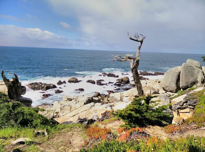 Monterey Peninsula Country Club portfolio 2