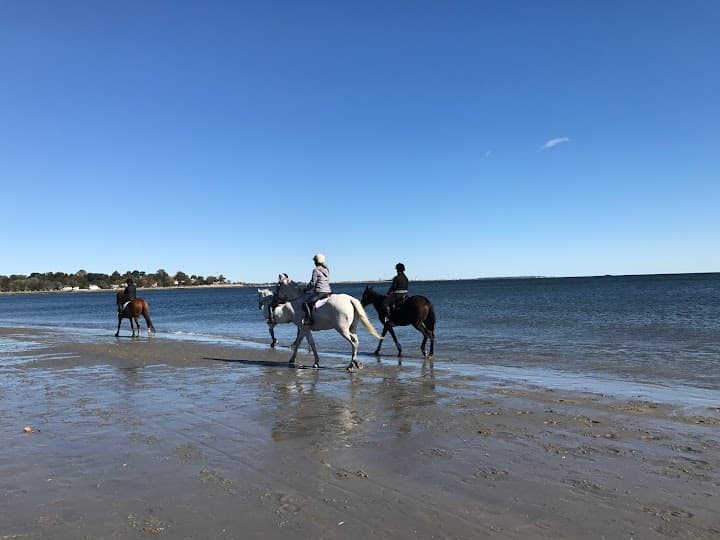 Fairfield Beach Club portfolio 5