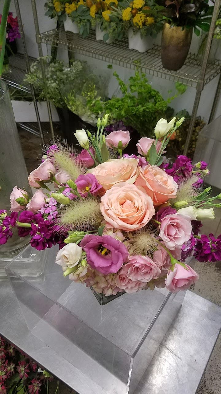 Westbank Flower Market portfolio 3