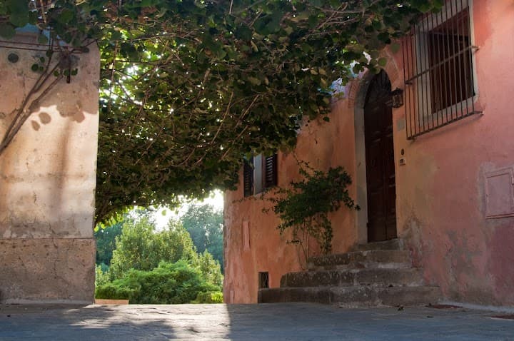 Il Borro portfolio 5