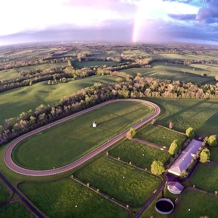 Stone Farm portfolio 5