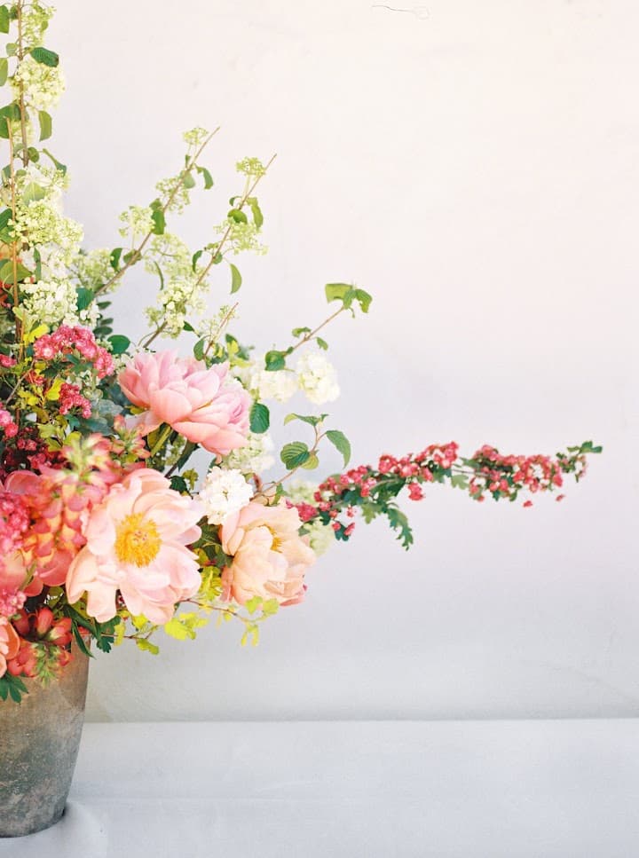 Bloom Babes