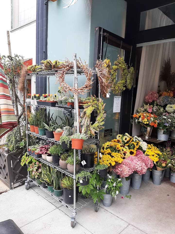 Paul Robertson Floral Design