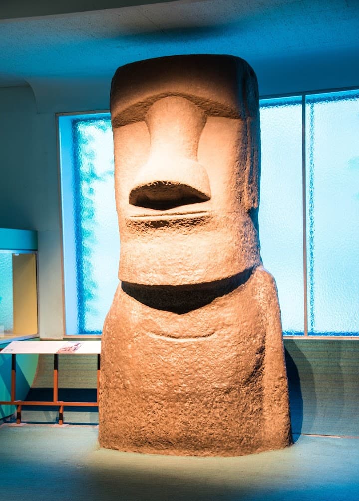 American Museum of Natural History portfolio 2