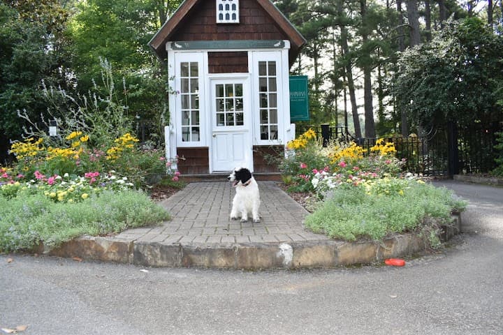 Aldridge Gardens portfolio 2