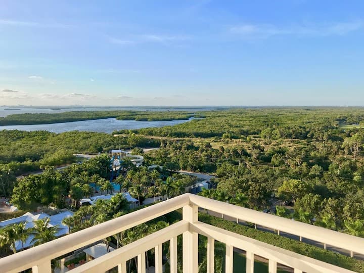 Hyatt Regency Coconut Point Resort And Spa portfolio 3