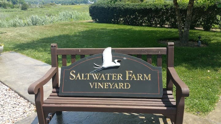 Saltwater Farm Vineyard portfolio 2