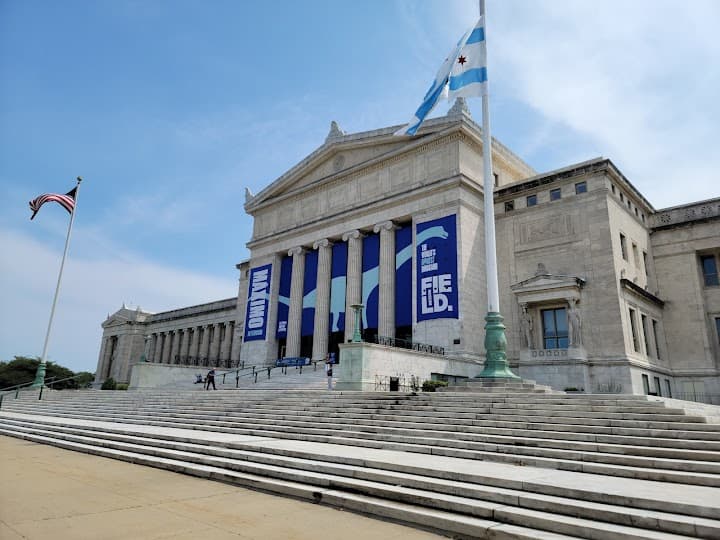 Field Museum portfolio 4