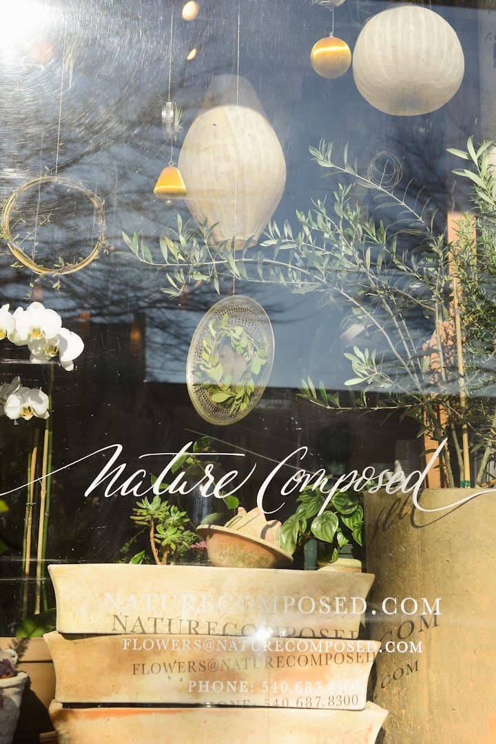 Nature Composed portfolio 2