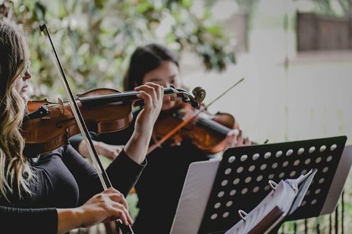 Terra Vista Strings portfolio 3
