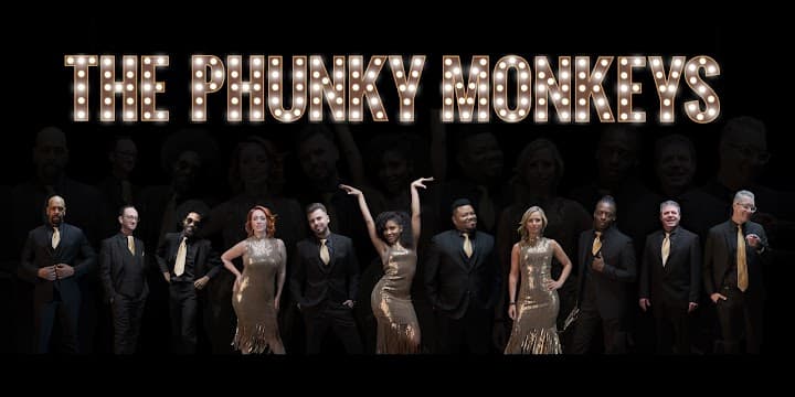 The Phunky Monkeys portfolio 4