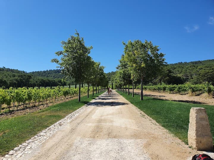 Château La Coste portfolio 3