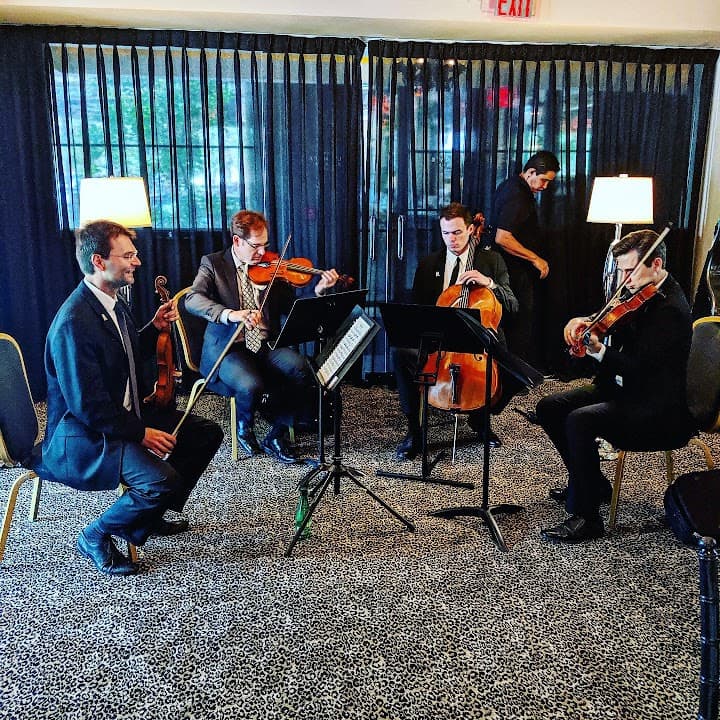 Divisi Strings portfolio 5