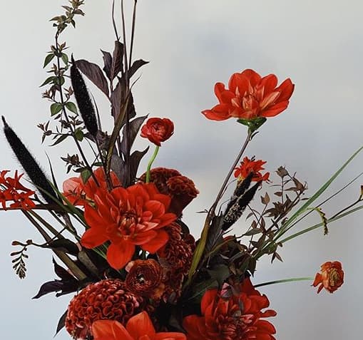 Marigold portfolio 5