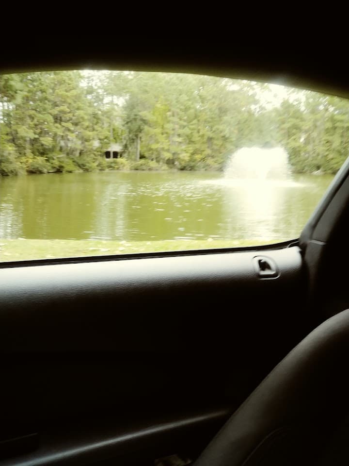Spring Island portfolio 2