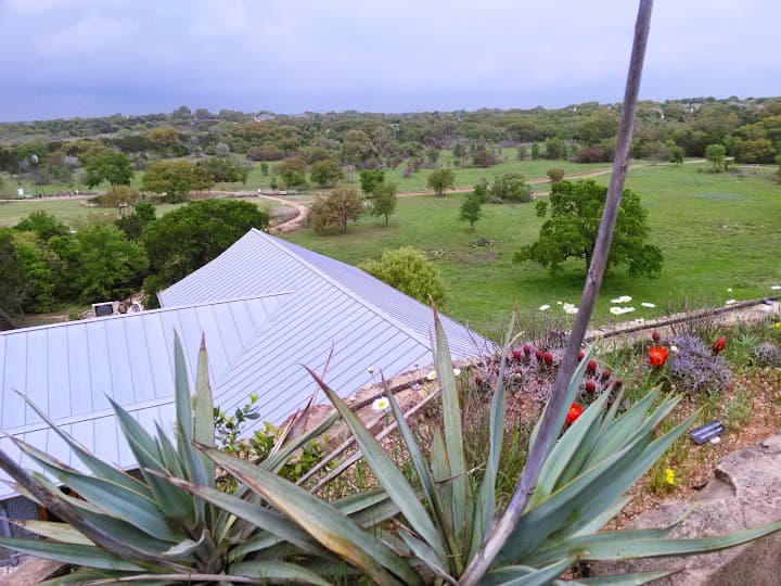 Lady Bird Johnson Wildflower Center portfolio 2