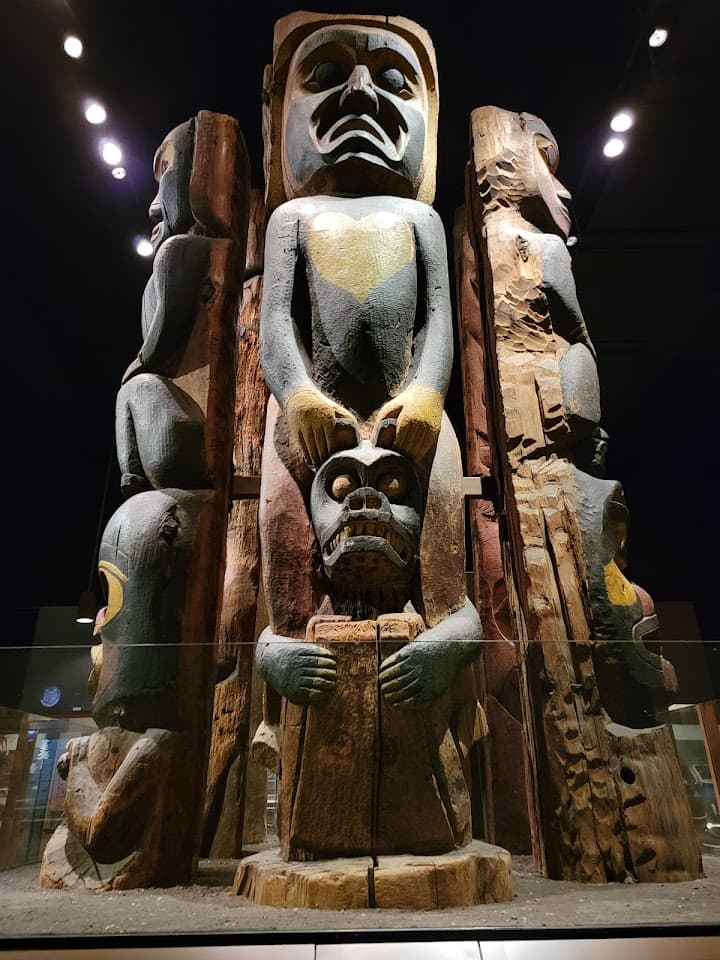 Field Museum portfolio 2