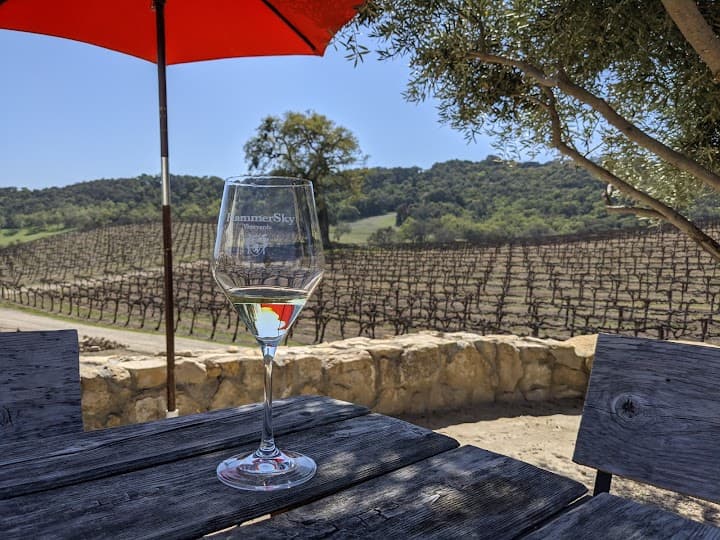 HammerSky Vineyards portfolio 4