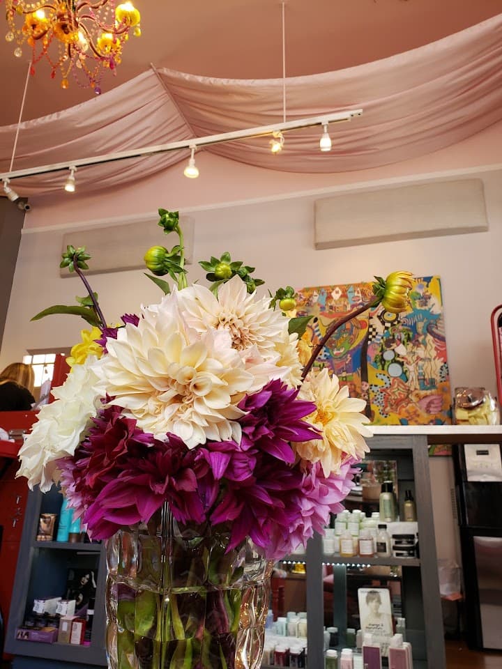 Lola Salon & Gallery portfolio 3