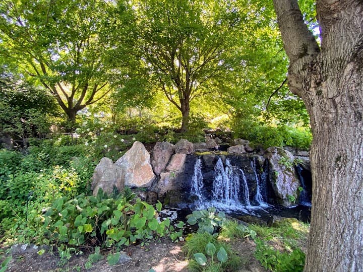 Chicago Botanic Garden portfolio 2