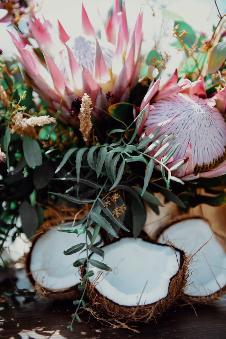 Opihi Love Wedding and Events portfolio 5
