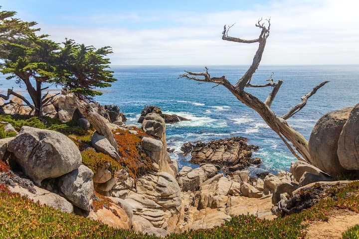Monterey Peninsula Country Club portfolio 3